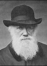 Charles Darwin in 1880